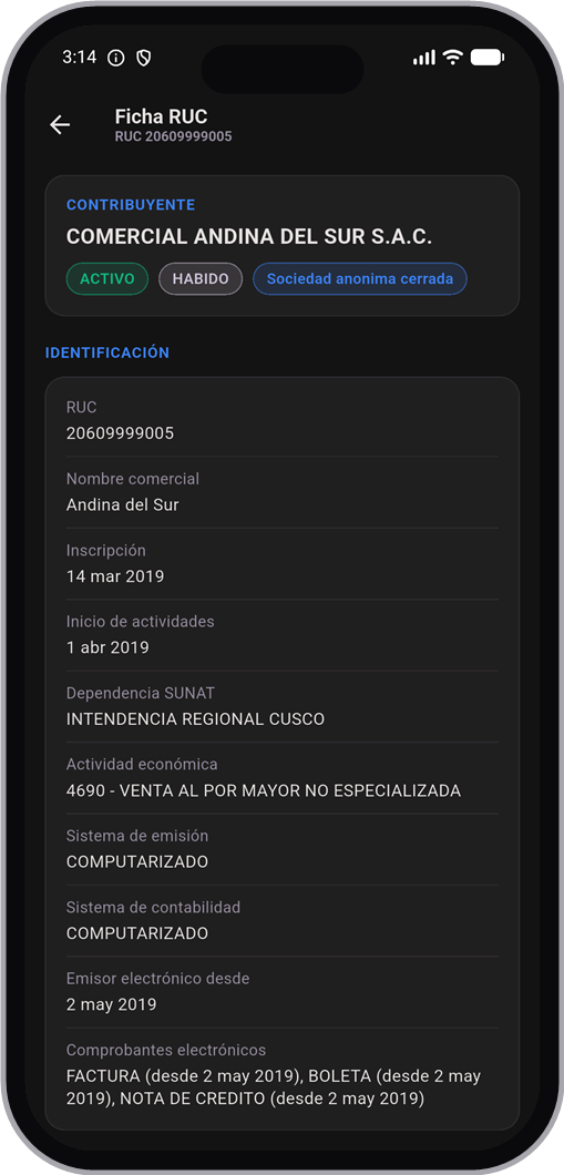 Ficha RUC completa en la app